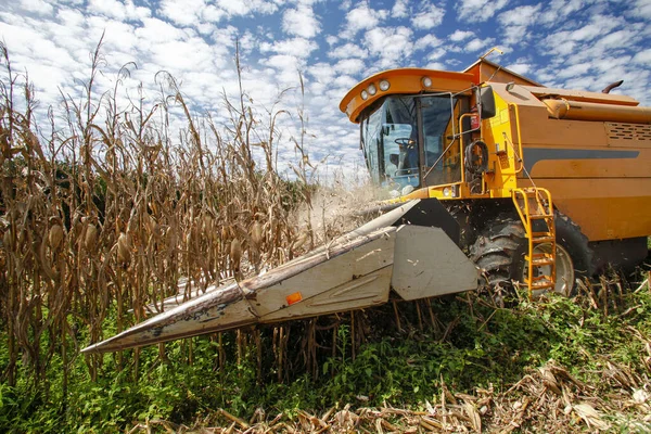 Mesin Membuat Panen Jagung Pedesaan Brazil — Stok Foto