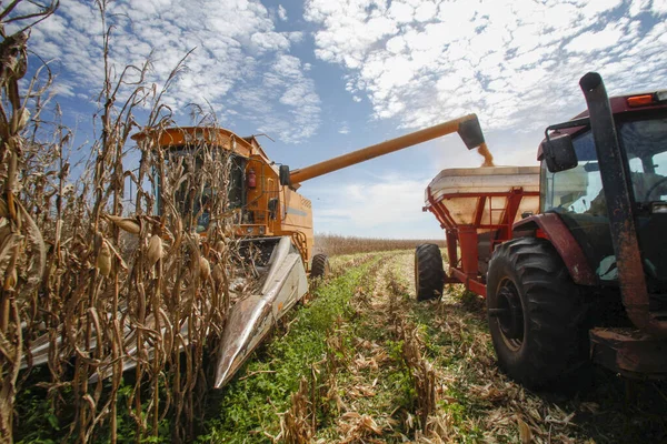 Machine Makes Harvest Corn Countryside Brazil — Stock Photo, Image