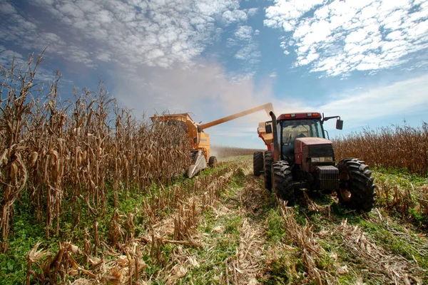 Machine Makes Harvest Corn Countryside Brazil — Stock Photo, Image