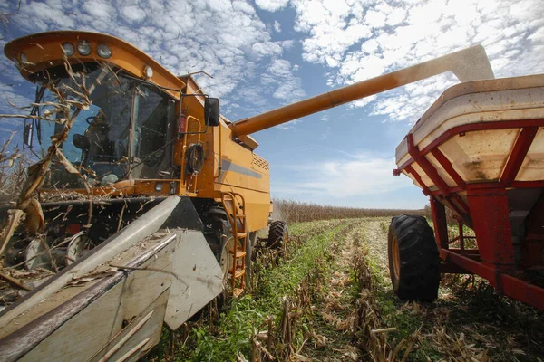 Maszyna Sprawia Zbiory Kukurydzy Wsi Brazylii — Zdjęcie stockowe