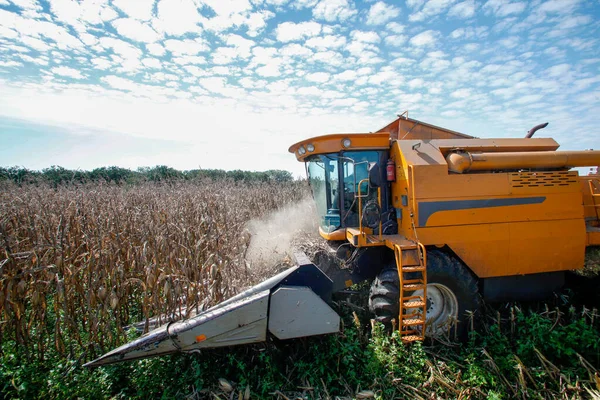 Maschine Macht Die Maisernte Auf Dem Land Brasilien — Stockfoto
