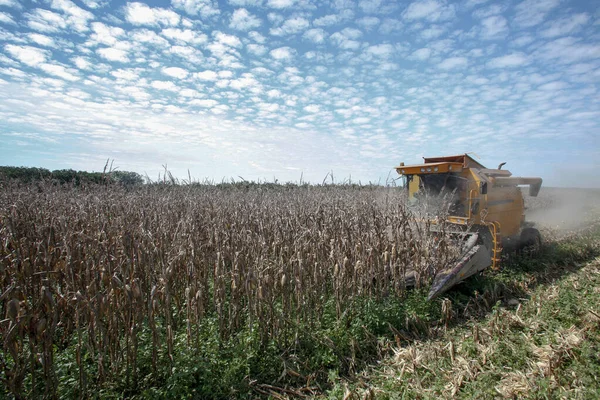 Machine Makes Harvest Corn Countryside Brazil — Stock Photo, Image