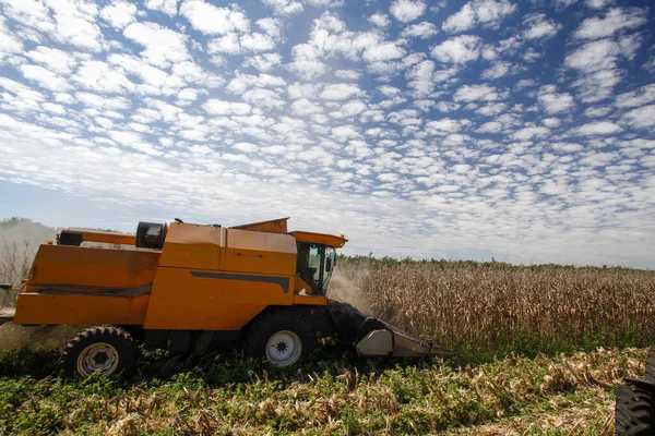 Máquina Hace Cosecha Maíz Campo Brasil —  Fotos de Stock