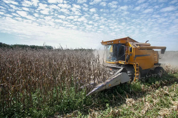 Machine Makes Harvest Corn Countryside Brazil — Stock Photo, Image