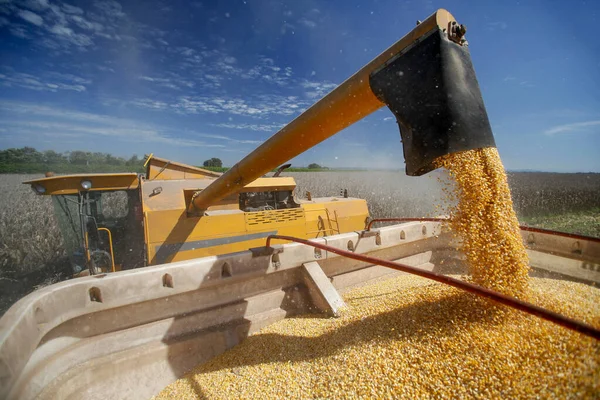 Maschine Macht Die Maisernte Auf Dem Land Brasilien — Stockfoto