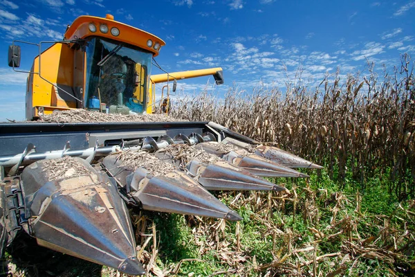Machine Fait Récolte Maïs Dans Campagne Brésil — Photo