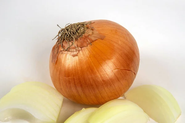 Zwiebel Auf Weißem Hintergrund — Stockfoto