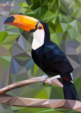 Toucan düşük Poli