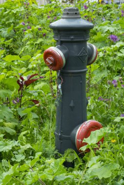 Yeşil çimenlikteki yangın musluğu. Polonya, Krakow. Dikey resim