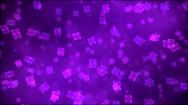 Animation Cubes Tombants - Boucle Violet — Video