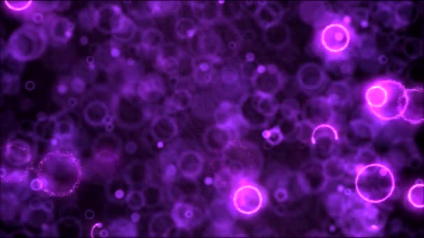 Рисунок круга Формы движения Фон анимации - петля фиолетовый — стоковое видео