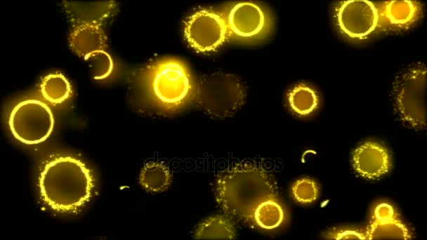 Desenho formas de círculo em animação de fundo preto - Loop Yellow — Vídeo de Stock