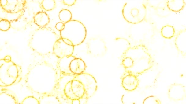 Disegno forme cerchio su sfondo bianco Animazione - Loop Giallo — Video Stock