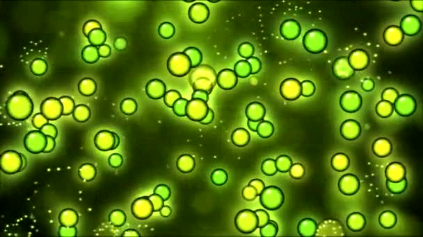 Colorful Popping Spheres Animation - Loop Green Yellow — Stock Video