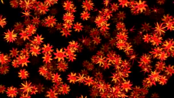 Kleurrijke roterende bloeiende bloemen animatie - rode lus — Stockvideo