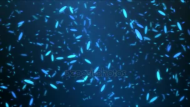 Petali di fiori girevoli colorati al vento - Loop Blue — Video Stock