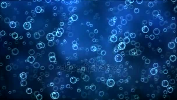 Színes, Felkelő buborék animáció - hurok kék — Stock videók