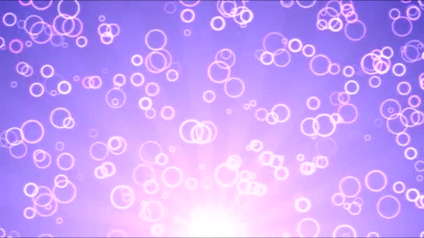 Bright Circles Motion Background Animation - Loop Purple — Stock Video