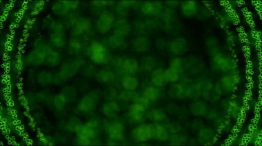 Büyüyen daire şekiller bir sarmal hareket - döngü yeşil