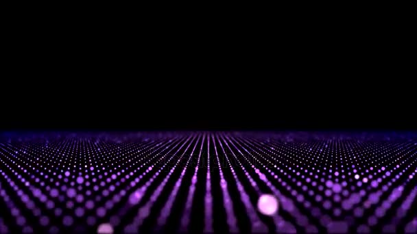 Красочный Фиолетовый Пол Петля Фиолетового Цвета — стоковое видео