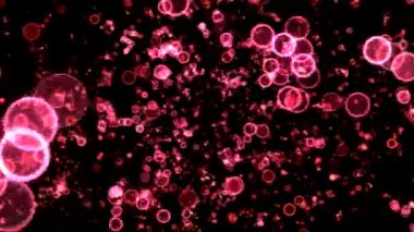 Renkli daire şekiller seyahat animasyon - döngü kırmızı