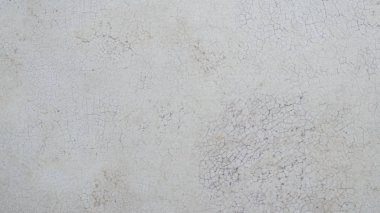 Açık bej yengeç. Macro vuruldu. Doku arkaplanı