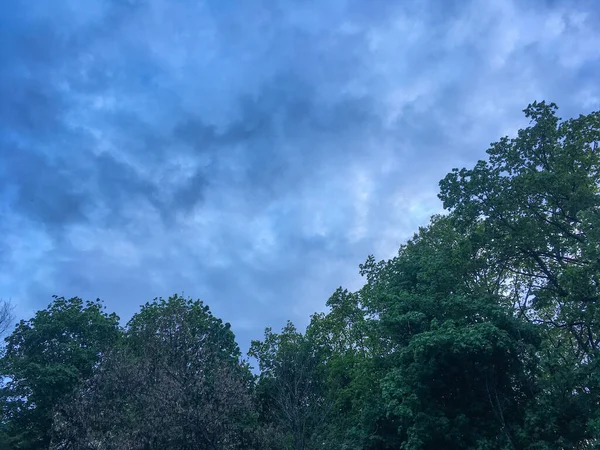 Голубое Небо Серыми Облаками Перед Дождем Зелеными Верхушками Деревьев Апрель — стоковое фото