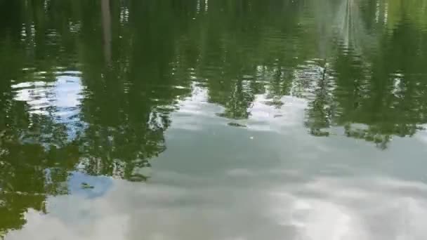 Fa árnyékokkal borított tó felszíne. Víz. Háttér. 4K Ultra HD — Stock videók