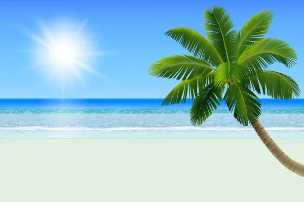 Plage tropicale blanche vide avec un palmier (un cocotier). Illustration vectorielle réaliste — Image vectorielle