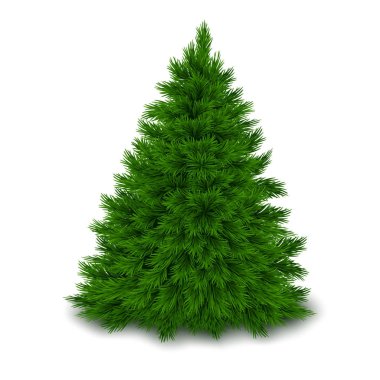 Beyaz arka plan üzerinde gür yalın Noel ağacı