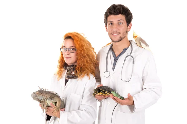 Állatorvosok férfi és nő — Stock Fotó