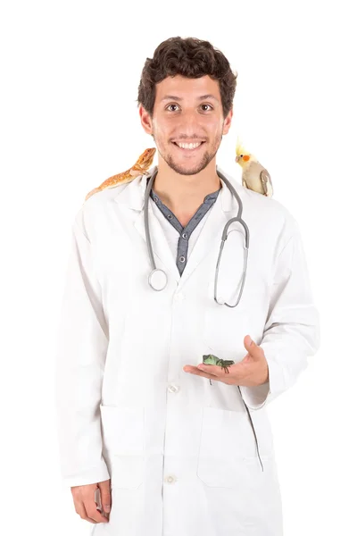 Veterinario con animales — Foto de Stock