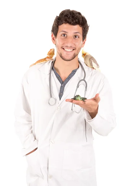 Veterinario con animales — Foto de Stock