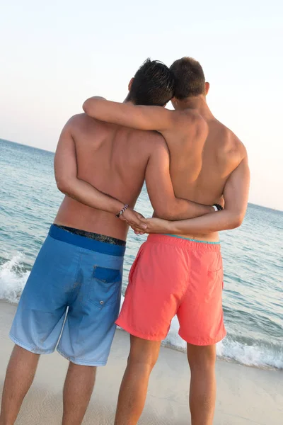 Chicos pareja gay — Foto de Stock