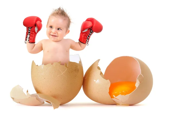 Nacimiento del bebé dentro de un huevo — Foto de Stock
