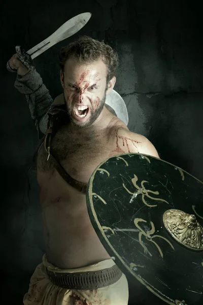 Gladiátor/barbár harcos — Stock Fotó