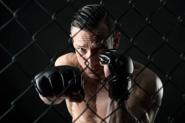 Atleta de MMA com luvas — Fotografia de Stock
