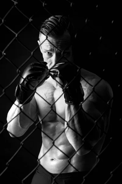 Atleta MMA con guantes — Foto de Stock