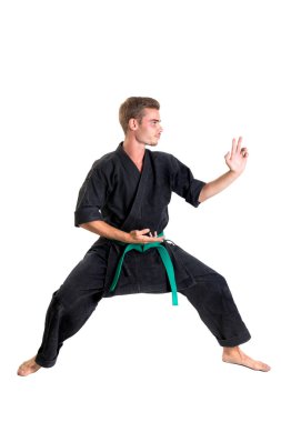 Dövüş sanatları öğrenci