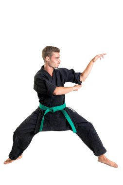 Dövüş sanatları öğrenci