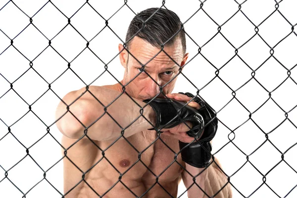 Atleta de MMA na gaiola — Fotografia de Stock