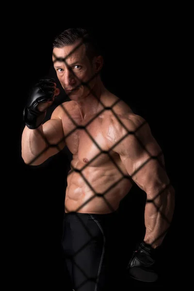 MMA athlete with gloves — Stock Photo, Image