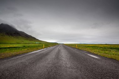 yol