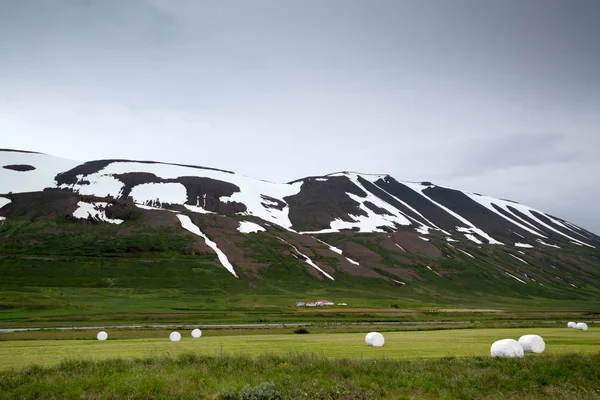 Hay fields — Stock Photo, Image