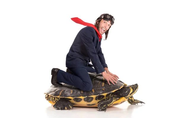 Geschäftsmann Reitet Auf Einer Schildkröte Isoliert Vor Weißem Hintergrund — Stockfoto