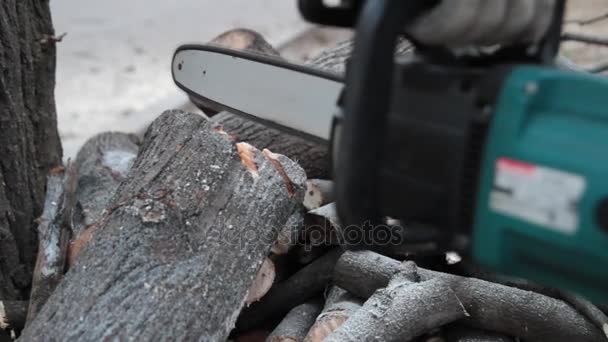 Man is sawing trunk of tree with an electric saw. Firewood and sawdust are visible all around. — Stock Video