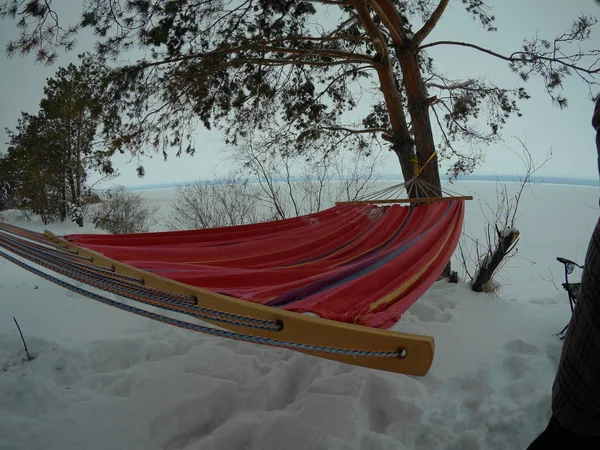 Hammock hanging in winter forest — Stock Photo, Image