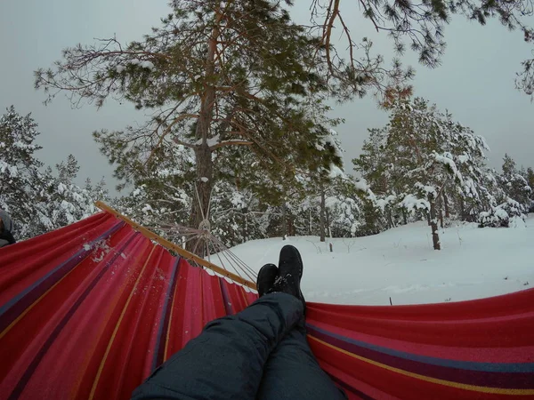 Rede pendurada na floresta de inverno — Fotografia de Stock