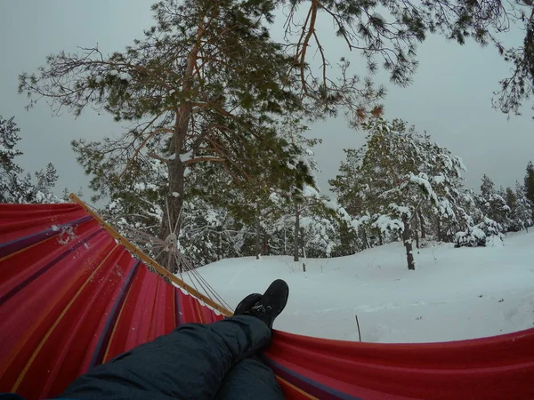 Hammock hanging in winter forest — Stock Photo, Image