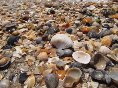 Plaj ve dalgalar üzerinde Karadeniz, Odessa
